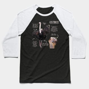 Animal Facts - Ostrich Baseball T-Shirt